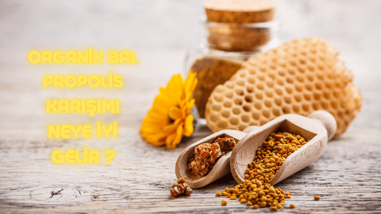 Organik Bal – Propolis Karışımı Neye İyi Gelir?